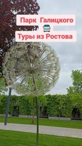 Фотография Стрелец 5