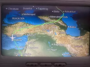 Фотография Розовый Слон 2