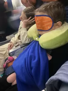 Фотография Розовый Слон 4