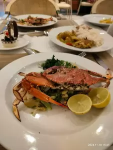 Фотография Александрия 1