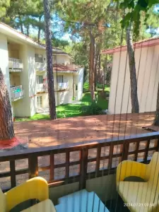 Фотография Александрия 2