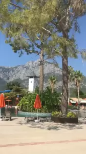 Фотография Coral travel 1