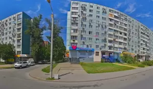 Фотография Розовый Слон 5
